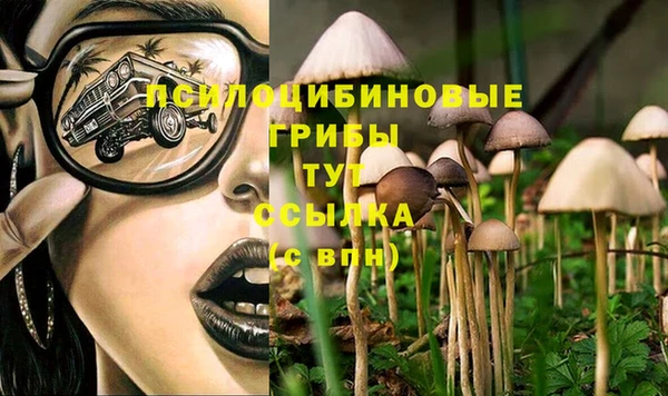 соль ск Зеленокумск