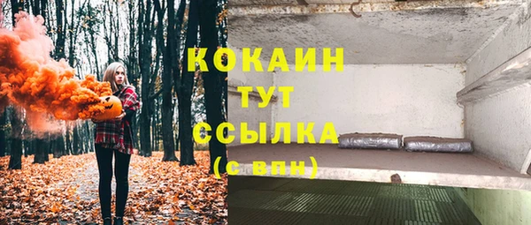 твердый Зеленодольск