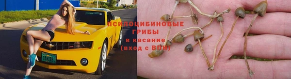 твердый Зеленодольск