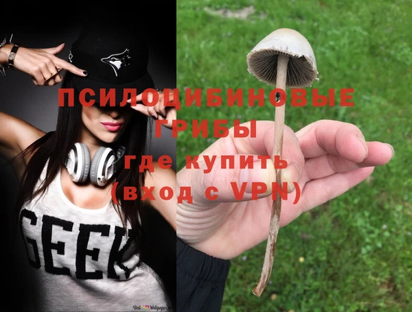 твердый Зеленодольск