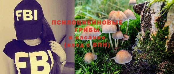 твердый Зеленодольск