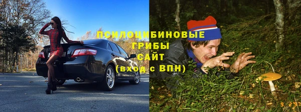 твердый Зеленодольск