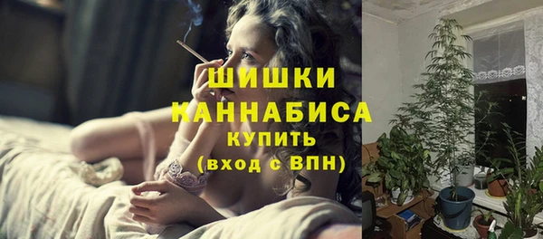твердый Зеленодольск