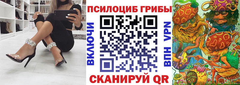 Купить  Боровск  Псилоцибиновые грибы Psilocybine cubensis 
